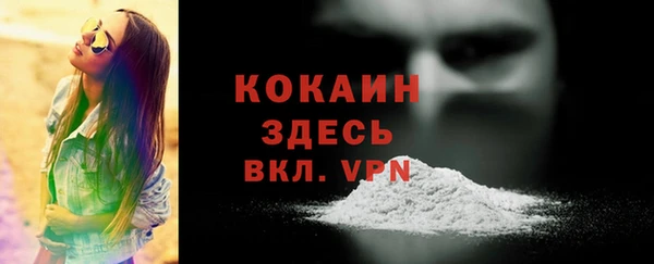 молекула духа Зеленокумск