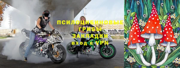 молекула духа Зеленокумск